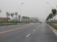 滨河路绿化