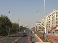 三八路绿化